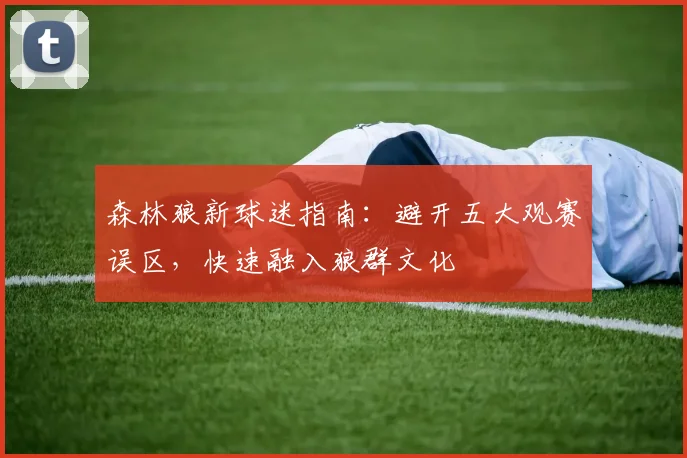 森林狼新球迷指南：避开五大观赛误区，快速融入狼群文化