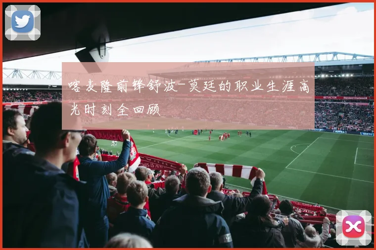 喀麦隆前锋舒波-莫廷的职业生涯高光时刻全回顾