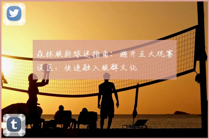 森林狼新球迷指南：避开五大观赛误区，快速融入狼群文化